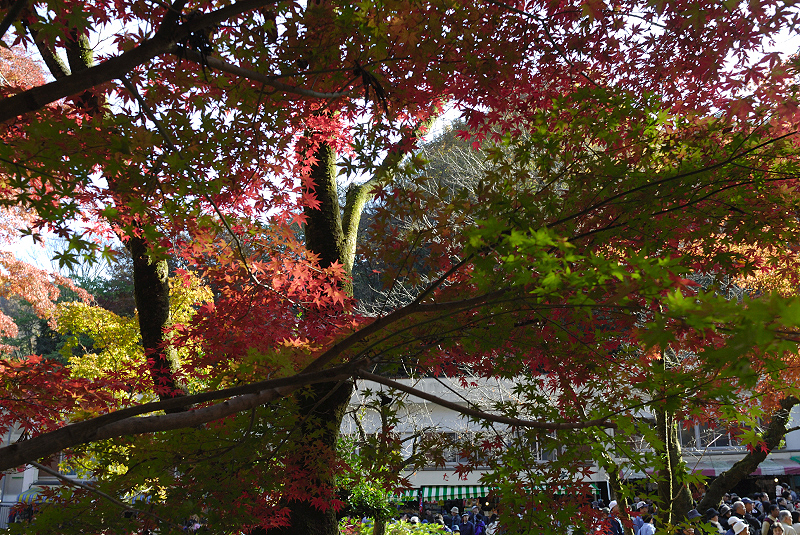 image0407
