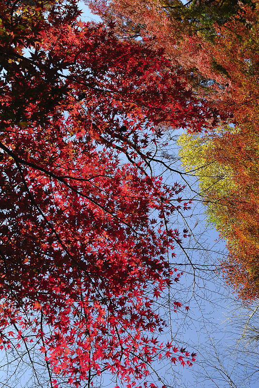 image0408