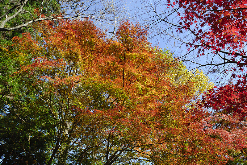 image0410