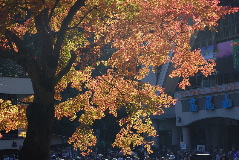image0414
