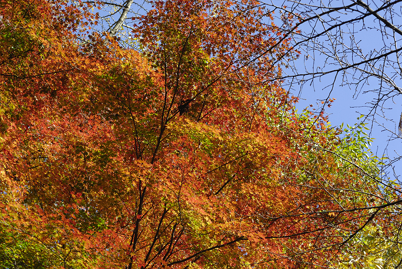 image0415