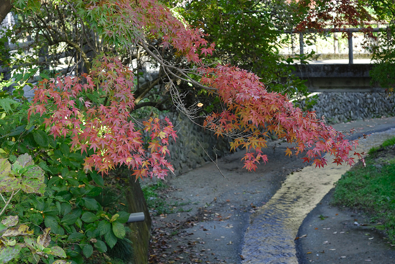 image0423