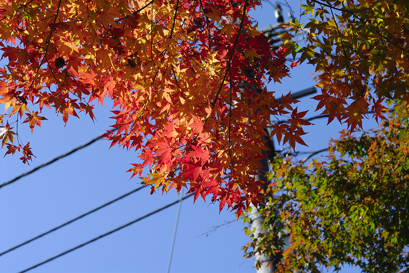 image0432