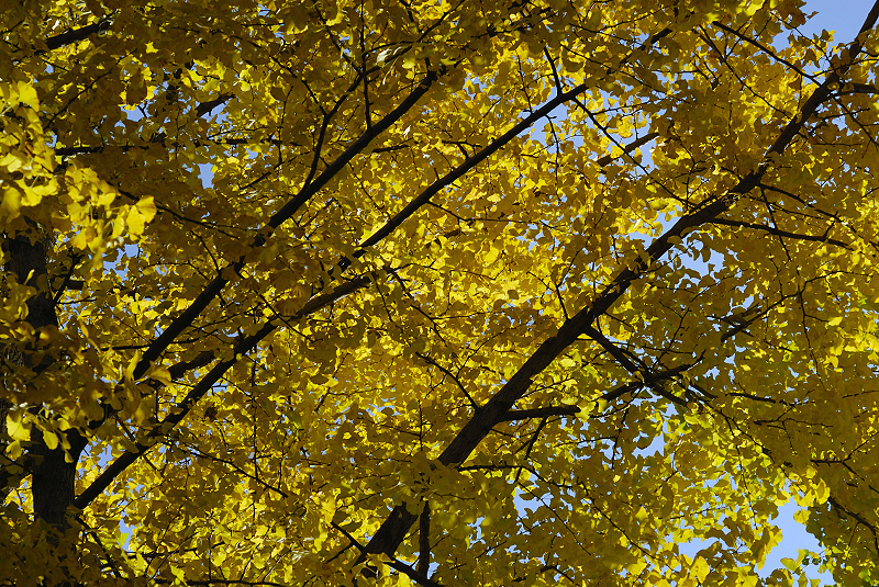 image0434