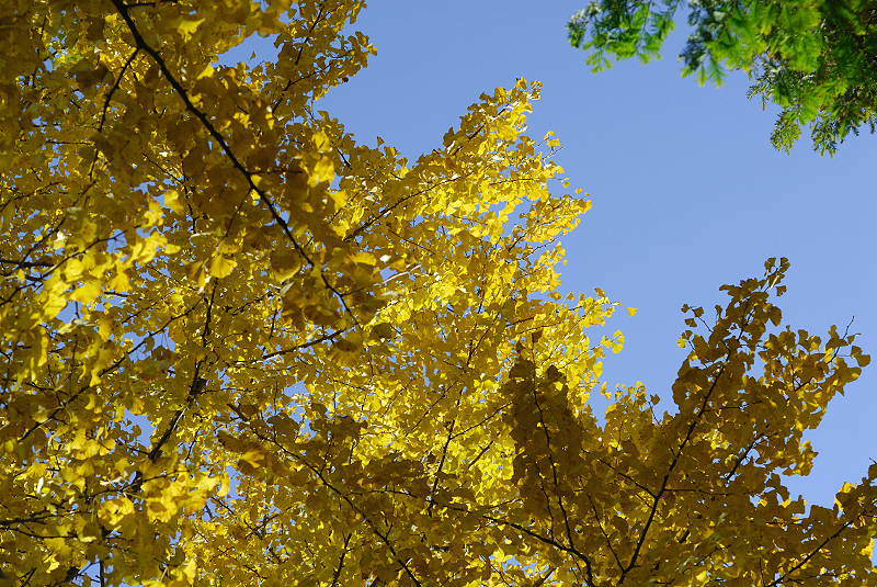 image0435