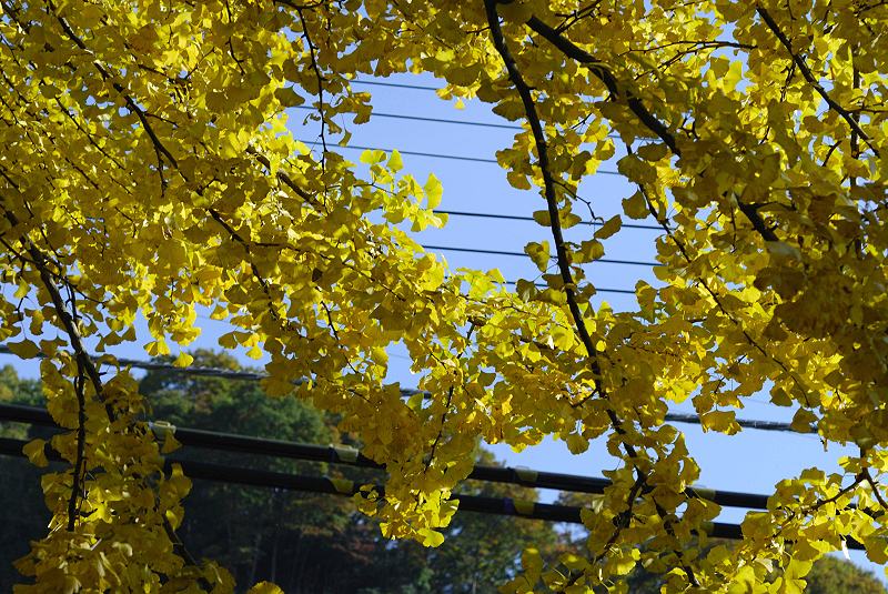 image0436