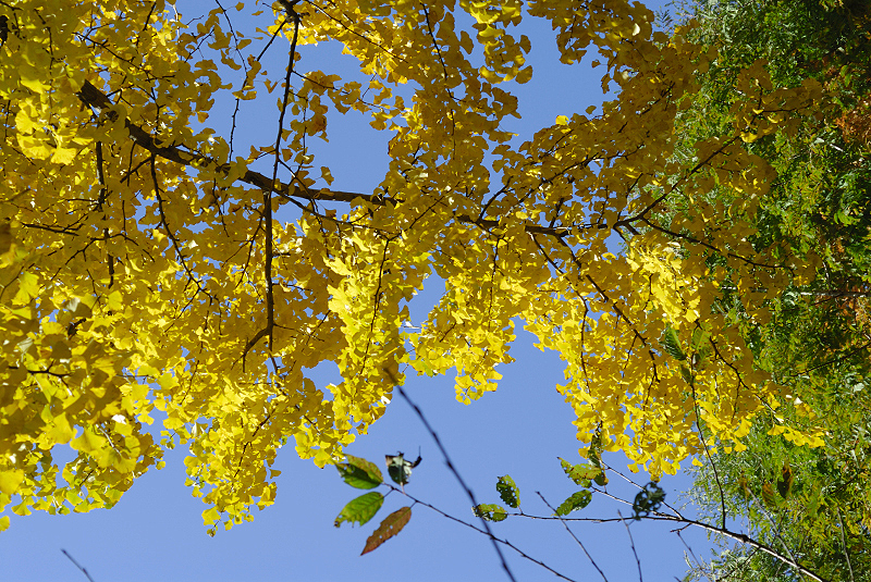 image0437
