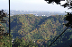 image0354