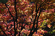 image0359