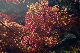 image0363