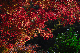 image0364