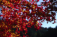 image0367