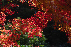 image0368