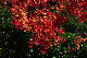 image0369