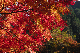 image0372