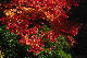 image0373