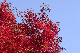 image0374