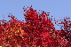 image0375