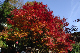 image0376