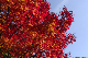 image0377
