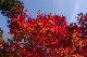 image0378