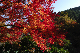 image0379