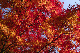 image0380