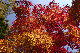 image0382