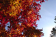 image0383