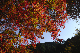image0384