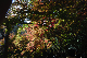 image0385