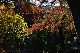 image0386