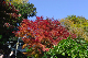image0388