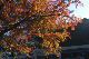 image0389