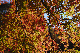 image0392