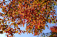 image0393