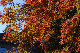image0395