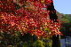 image0396