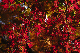 image0397
