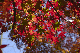 image0398