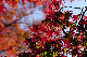 image0400