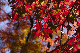 image0401