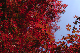 image0403