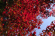 image0404