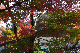 image0407