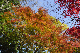 image0410