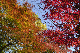 image0411