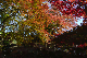 image0412