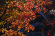 image0413