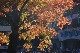image0414